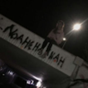 Meet your Posher, Ava